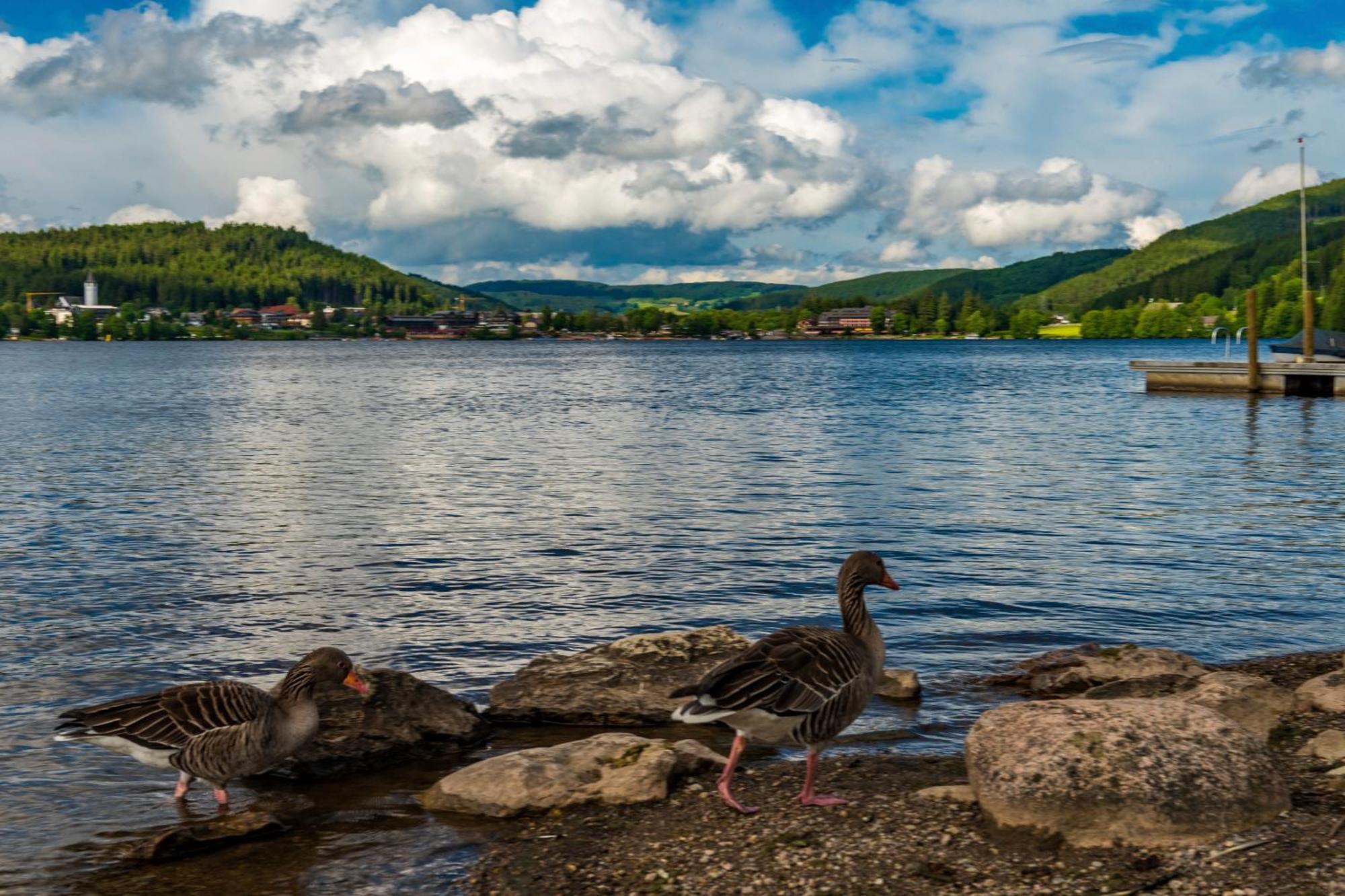 Drei Tannen - Wohnung 11 - Apartmenthaus, Titisee, Feldberg Eksteriør bilde